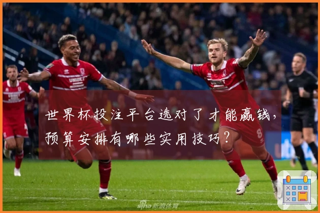 世界杯投注平台选对了才能赢钱，预算安排有哪些实用技巧？