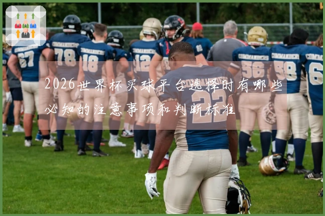 2026世界杯买球平台选择时有哪些必知的注意事项和判断标准