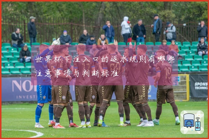 世界杯下注入口的返水规则有哪些注意事项与判断标准