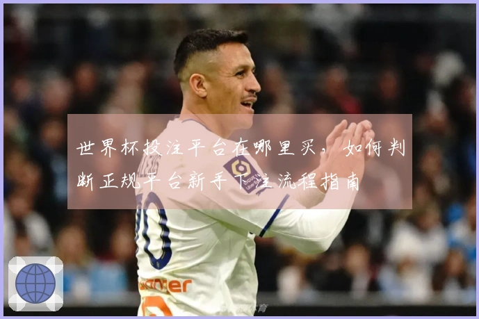 世界杯投注平台在哪里买，如何判断正规平台新手下注流程指南