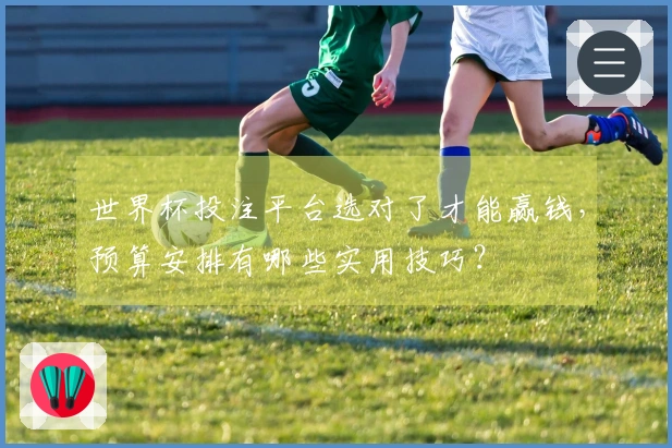 世界杯投注平台选对了才能赢钱，预算安排有哪些实用技巧？